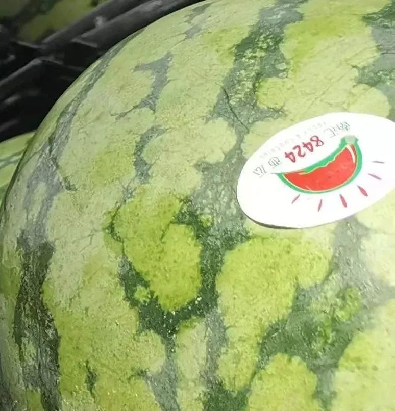 1652860919369777.jpeg