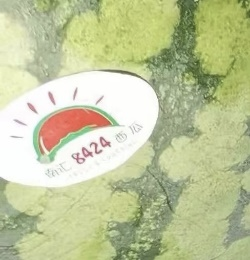 640 (65).png