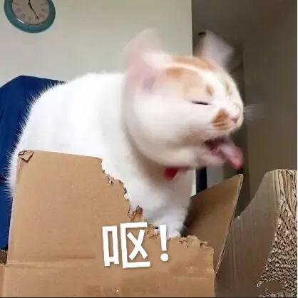 1652876221297307.jpeg