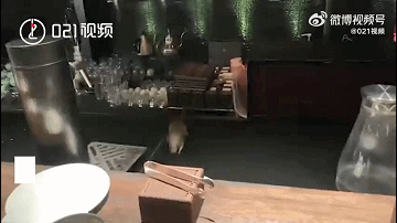 mmexport3d49fa1b089eba9c536b78c3b649c05e_1653117479153.gif