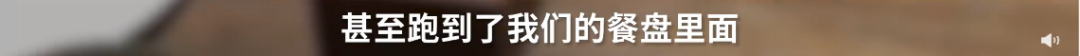 mmexport50a64c01a438f774d6caf2985f835bb2_1653117582087.png