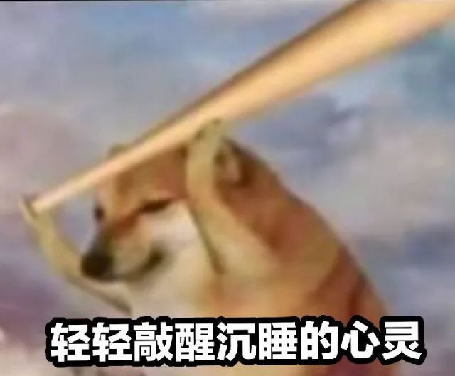 1653298806464930.jpeg