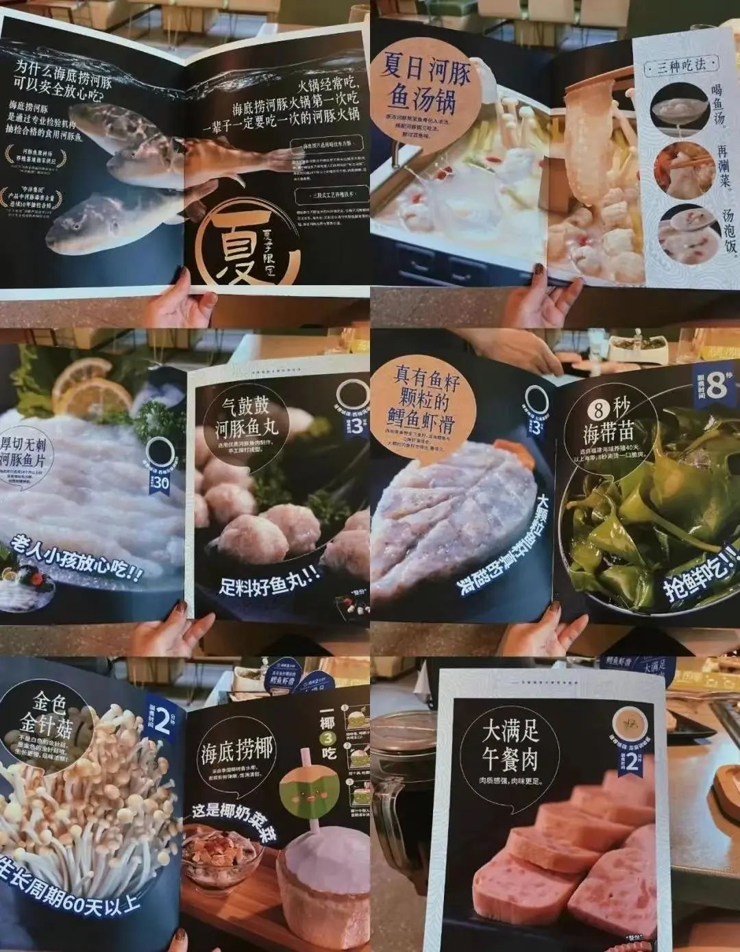 1653446318520517.jpeg